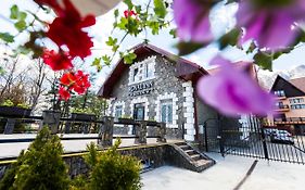 Royal Inn Busteni-Adults Only